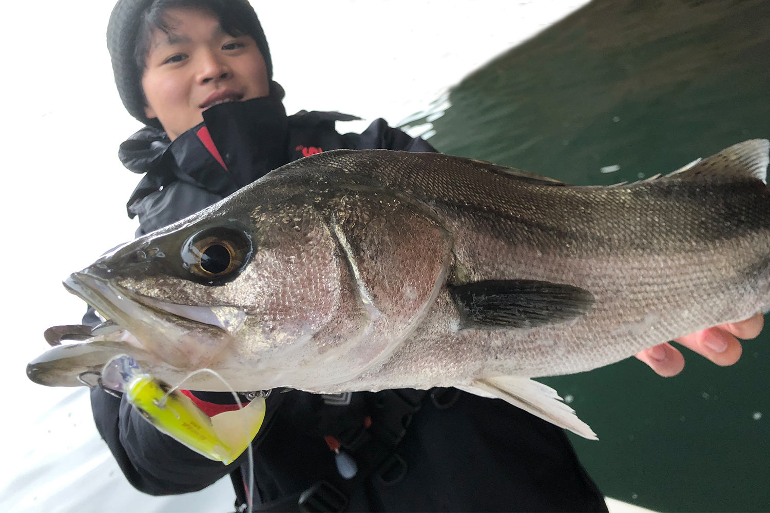 Wobbler Megabass VIBRATION-X VATALION SW