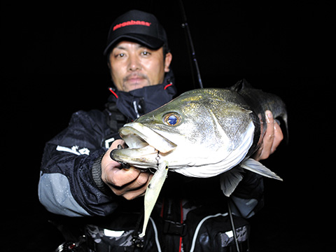 Swimbait Megabass MAGBEAT
