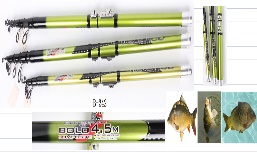 Spinning rod Bolo