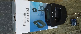 Fishing scales