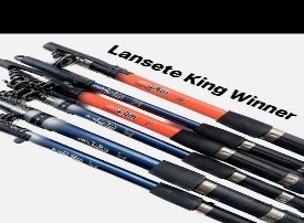 Spinning rod Rod