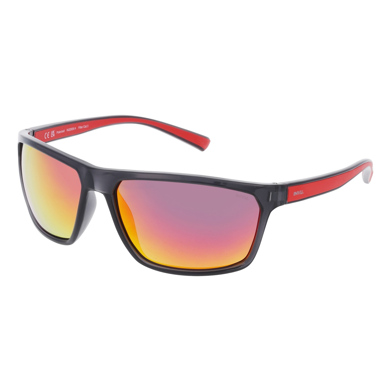 INVU IA22509A Polarized Sunglasses