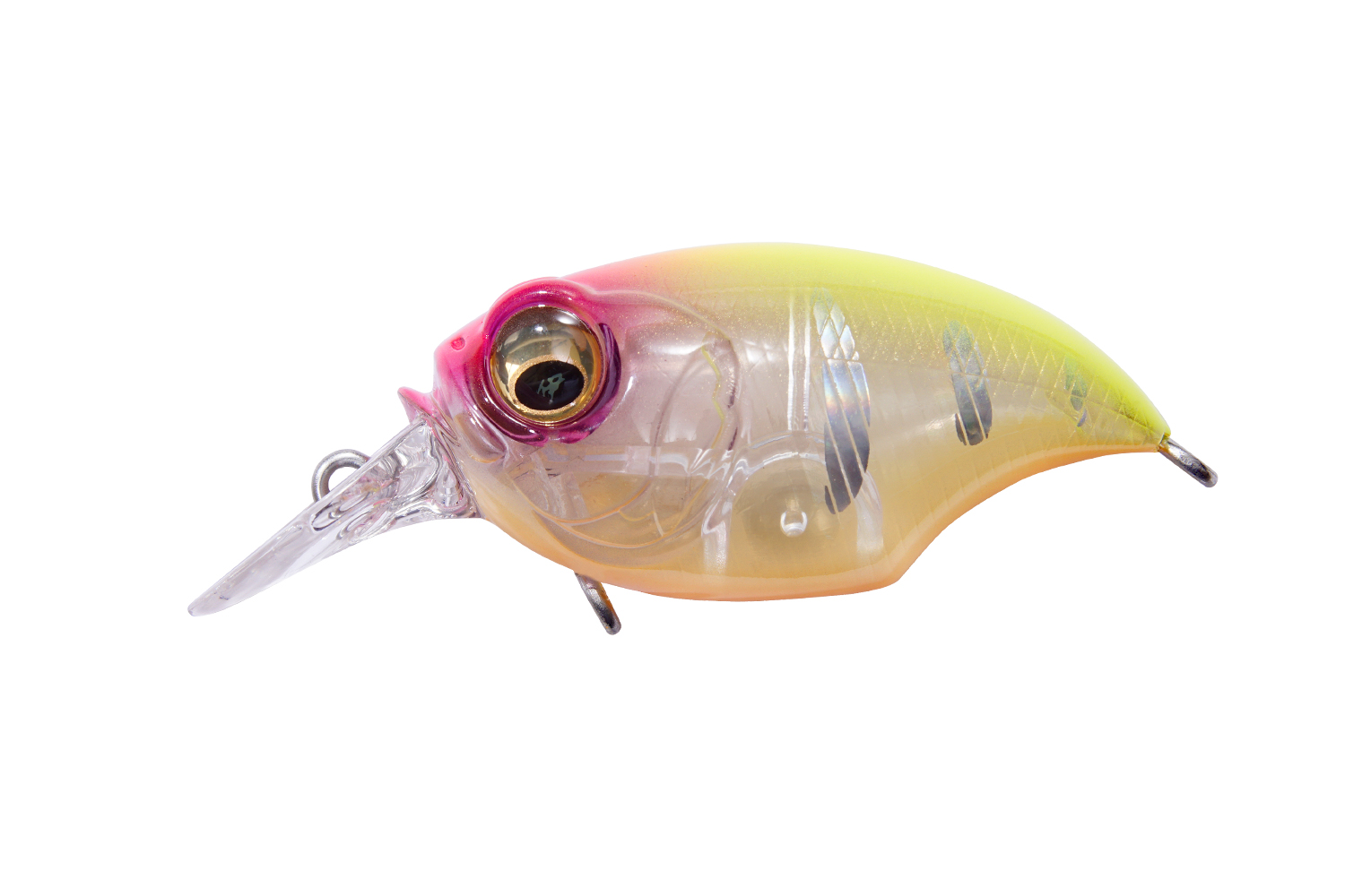 Vobler Megabass SR-X GRIFFON