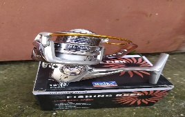 Fishing reel BL
