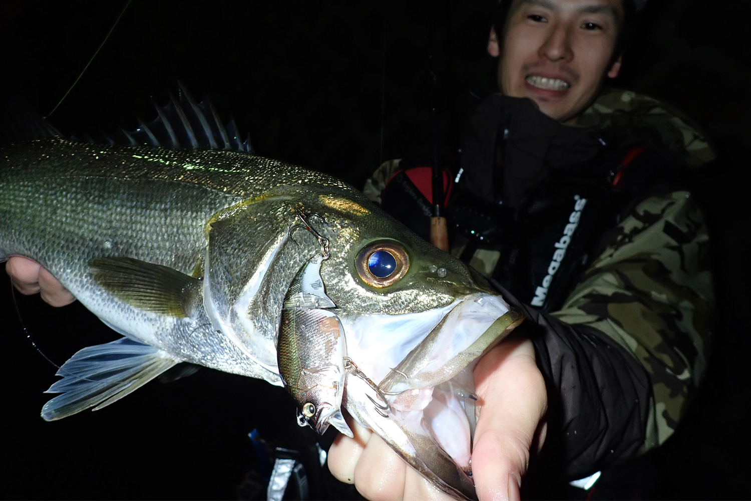 Wobbler Megabass VIBRATION-X VATALION SW