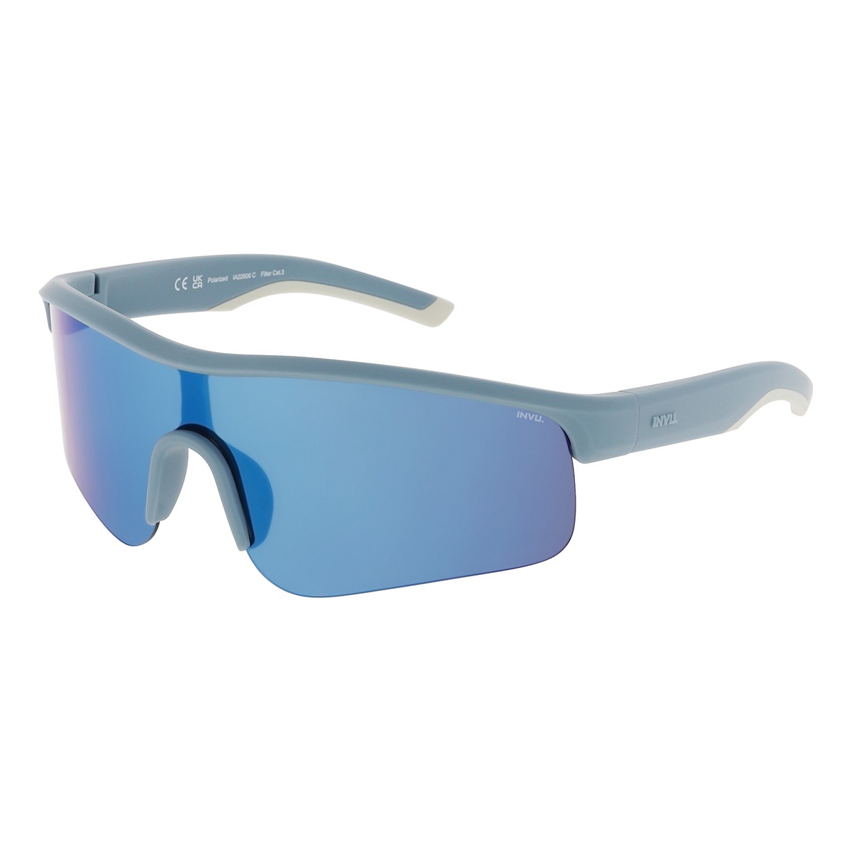INVU IA22606C Polarized Sunglasses