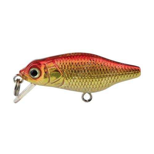 Wobbler Megabass X- 30 (F)