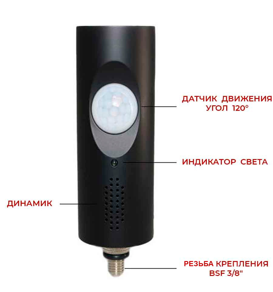 Motion sensor World4Carp