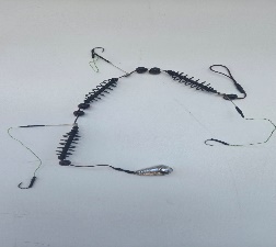 Fishing rig Crucian carp