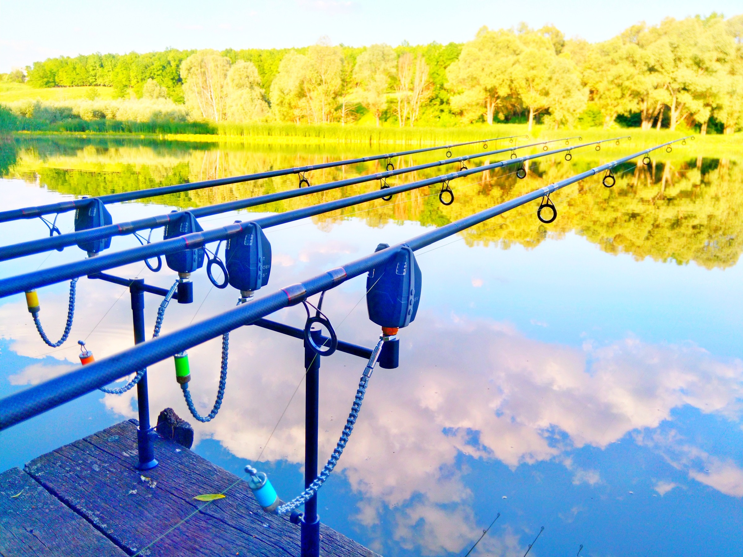 Bankstick and buzz bar set World4Carp Stand Kit Universal 2