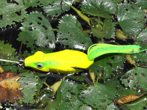 Wobbler Megabass PONY FROG
