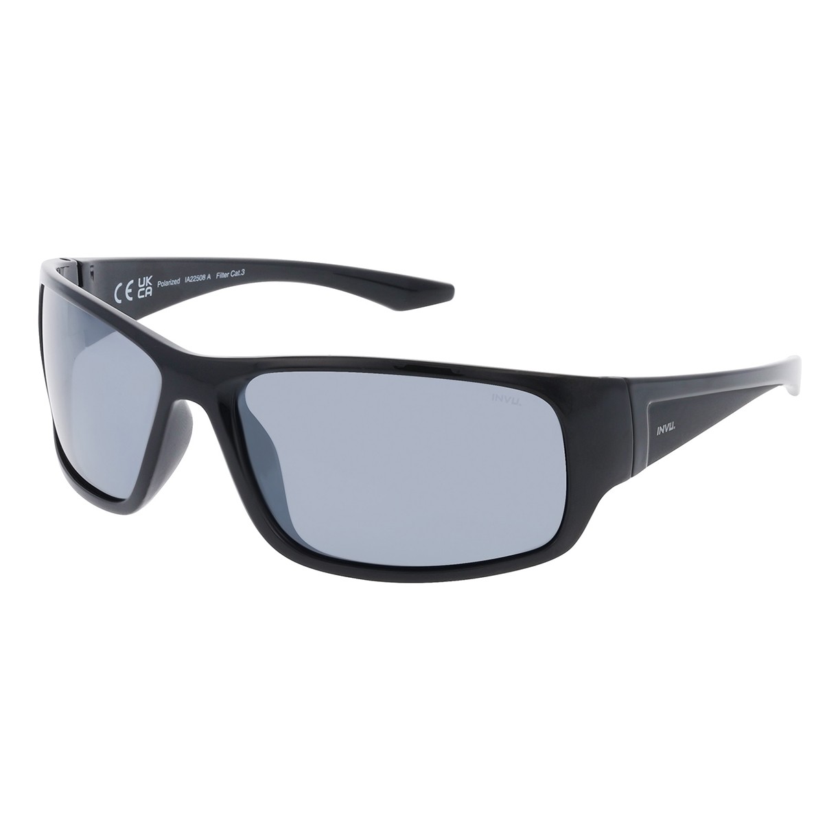 INVU IA22508A Polarized Sunglasses