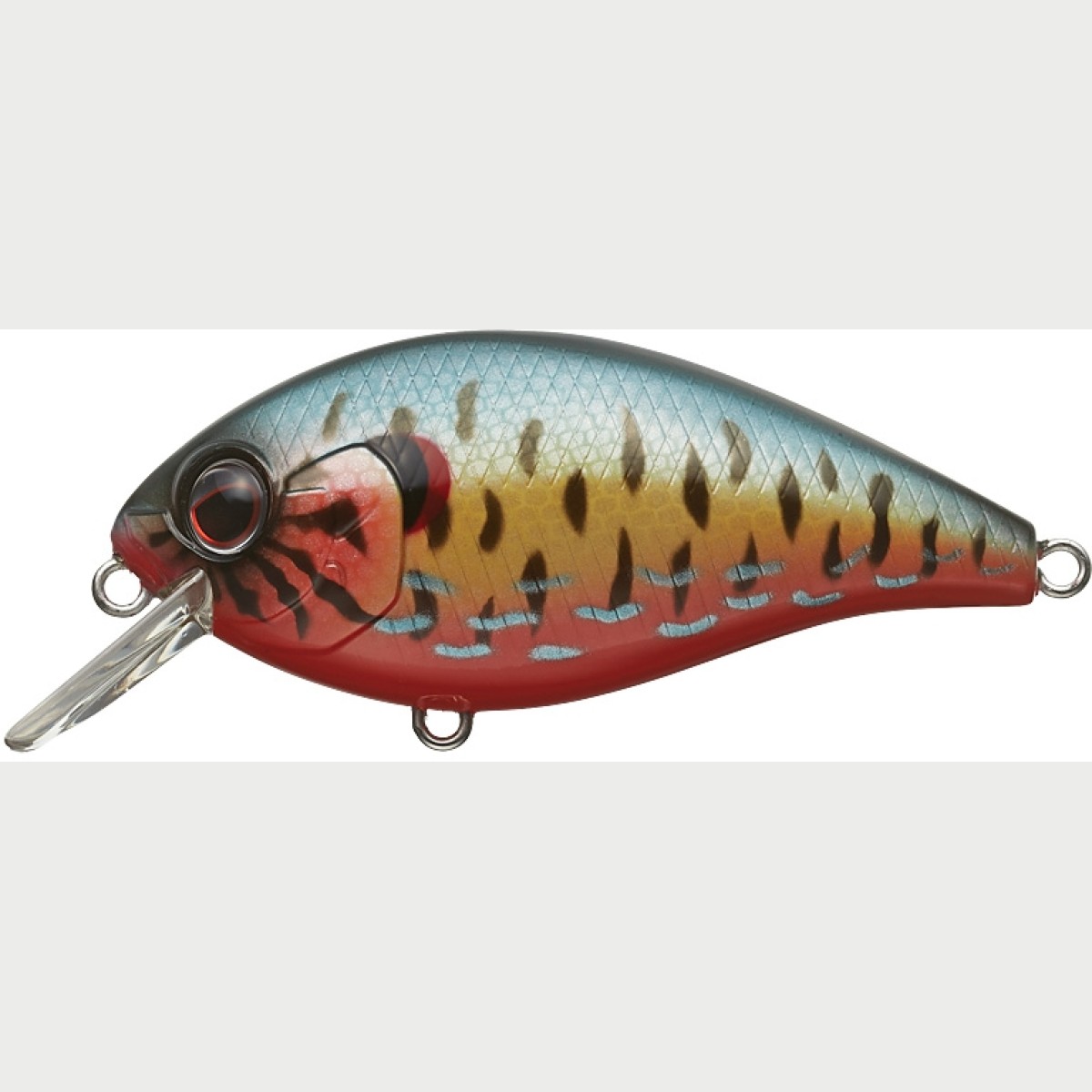 Wobbler Ever Green COMBAT CRANK SHALLOW HAWG