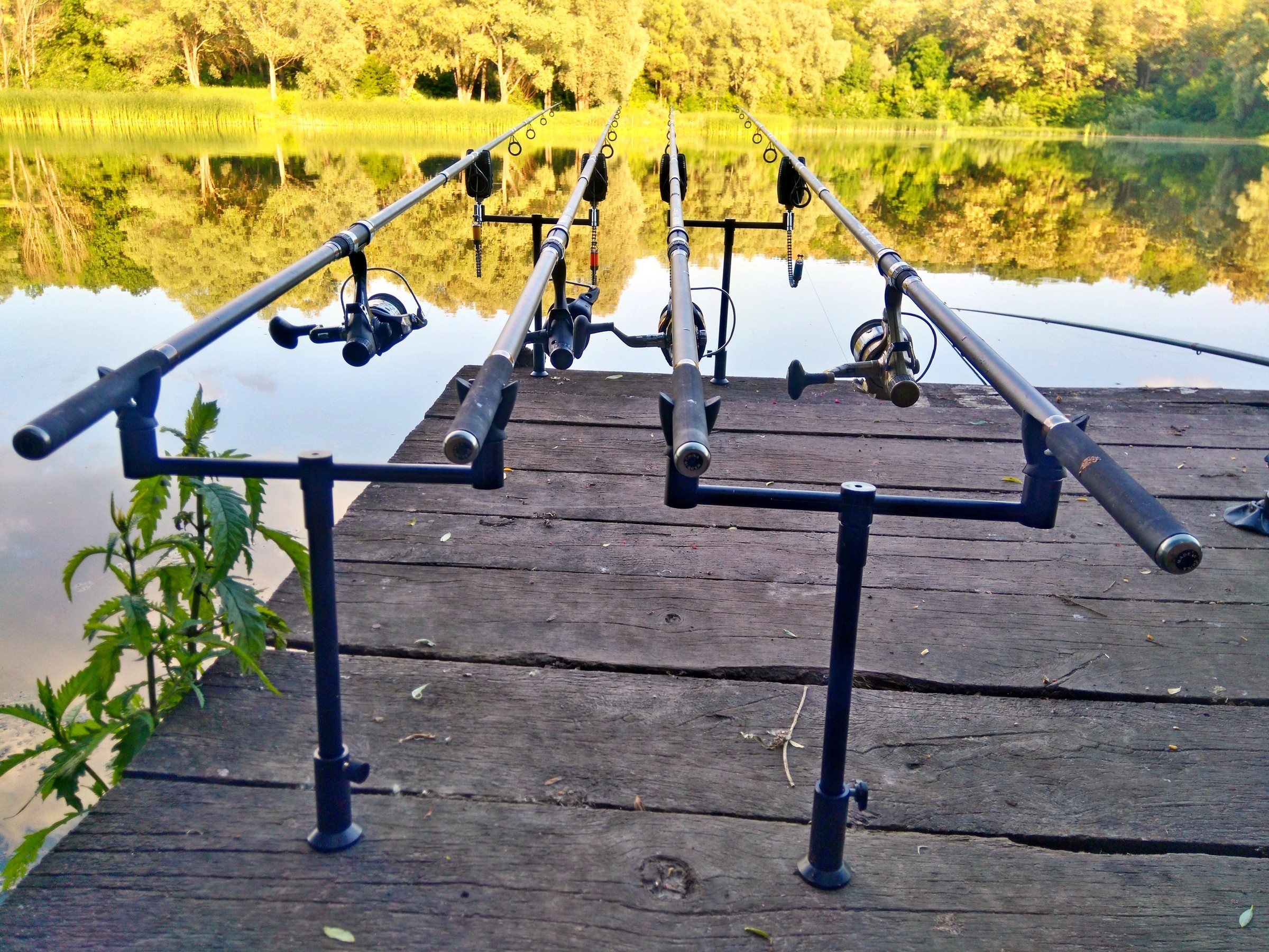 Bankstick and buzz bar set World4Carp Stand Kit Universal 2