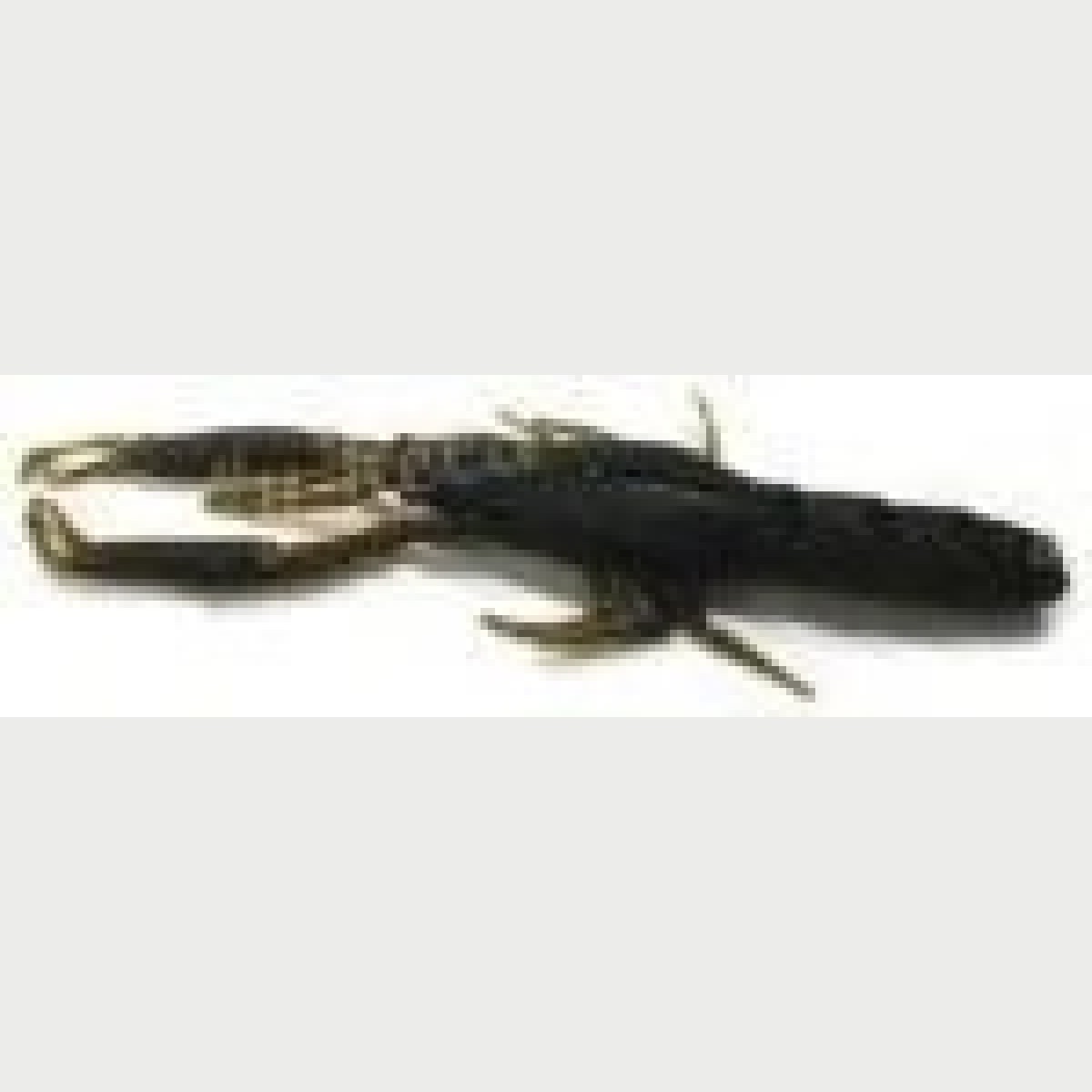Nălucă soft Megabass HONJIKOMI IT-SHRIMP