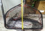 Подсак прорезиненный — B21 / 85×60