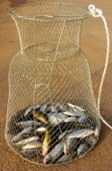 Keepnet metal