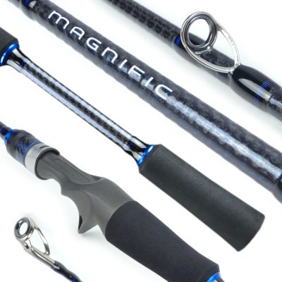 Casting Rods